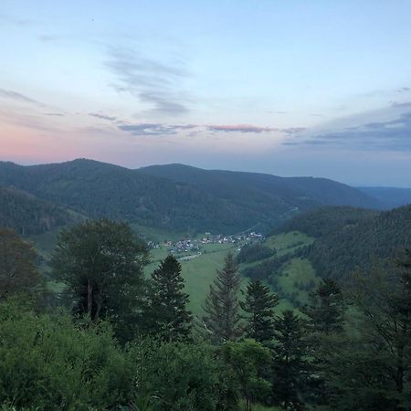 Forest Apartment-Forest Escape Menzenschwand St. Blasien Esterno foto