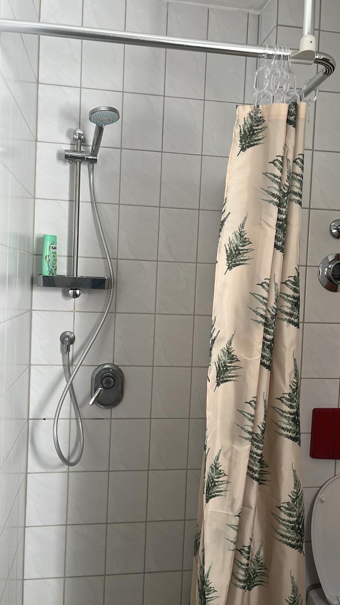 Forest Apartment-Forest Escape Menzenschwand St. Blasien Esterno foto