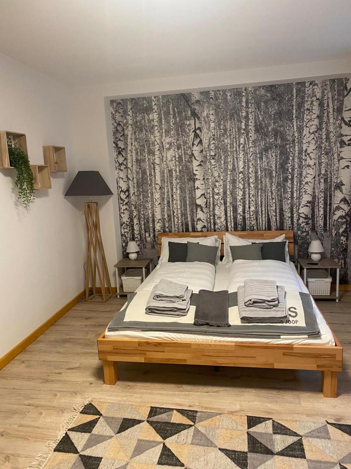 Forest Apartment-Forest Escape Menzenschwand St. Blasien Esterno foto